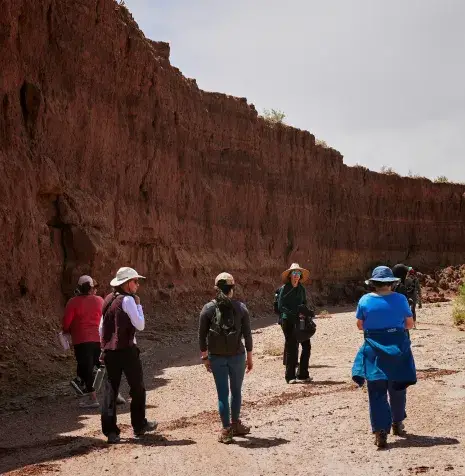 A group of hikers explores a dusty trail beside a towering earthen cliff in a natural landscape.