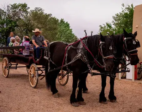 Two black horses pull a wagon with passengers, set against a backdrop of trees and a rustic building.