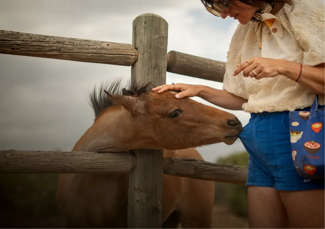 A woman gently pets a horse at a wooden fence, creating a warm interaction in a natural setting.
