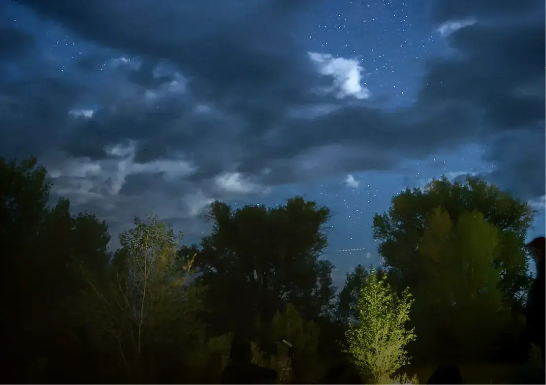 Starry night sky partially obscured by clouds, with silhouettes of trees in the foreground.
