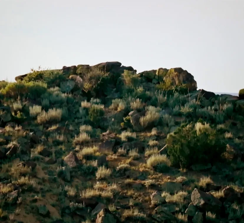 Rocky hillside with sparse vegetation under a clear sky, showcasing the natural landscape's rugged beauty.
