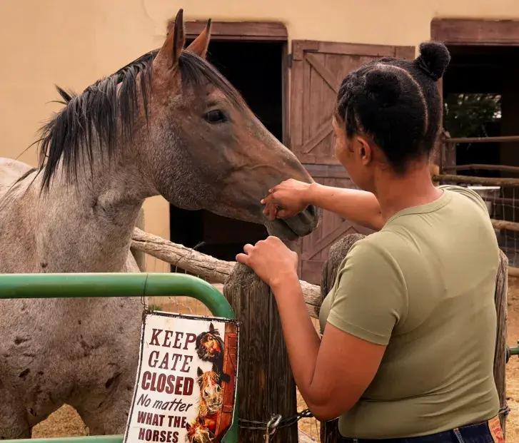 A woman gently feeds a horse at a stable, with a sign warning to keep the gate closed for safety.