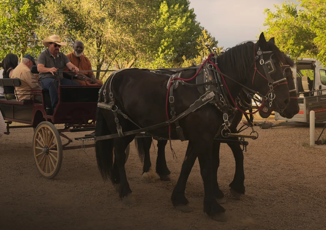 A horse-drawn carriage with passengers waits in a rustic setting surrounded by trees and gravel paths.