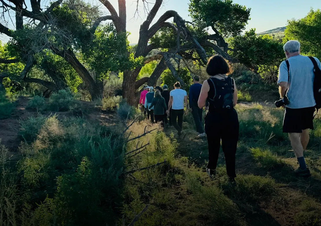 A group of hikers walks along a trail under large trees, surrounded by lush greenery in a natural setting.