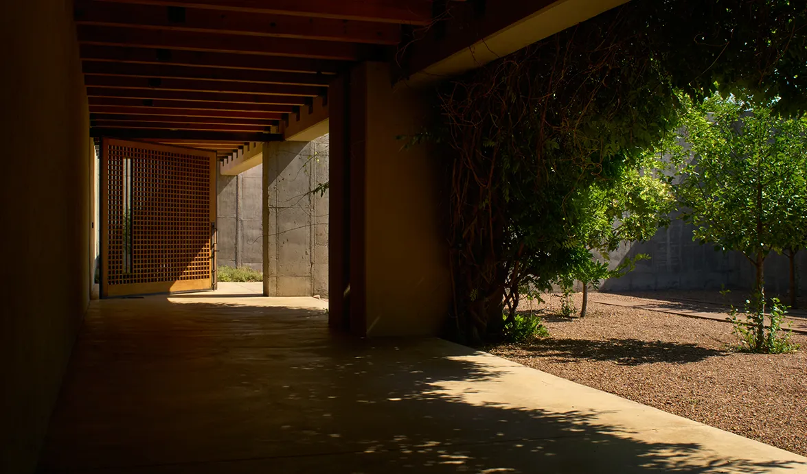 A sunlit corridor opens to a garden, featuring a wooden lattice door and natural greenery along the walls.